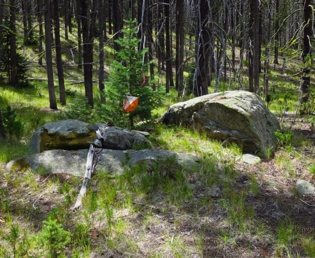Lanterna nascosta tra le rocce nel bosco